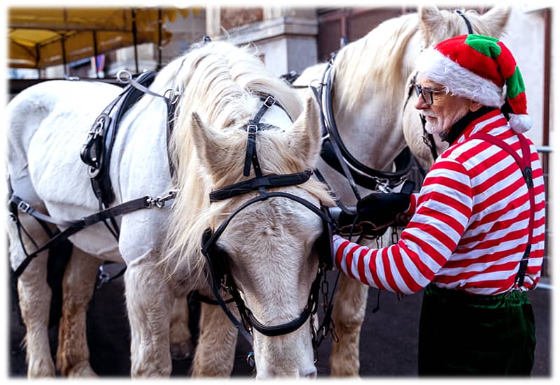 Promenade en calèche avec le Père Noël